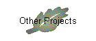 Other Projects